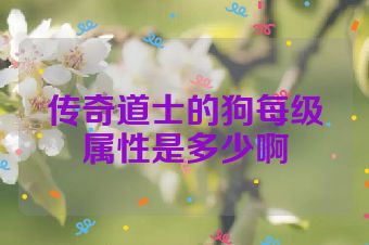 传奇道士的狗每级属性是多少啊