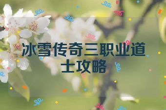 冰雪传奇三职业道士攻略