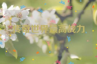 传奇世界最高战力