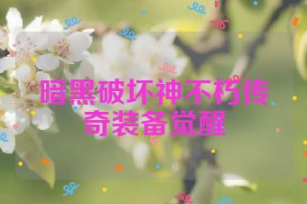 暗黑破坏神不朽传奇装备觉醒