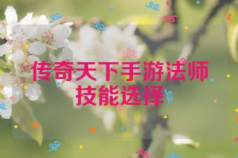 传奇天下手游法师技能选择