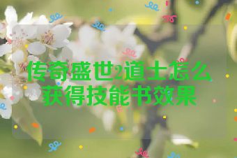 传奇盛世2道士怎么获得技能书效果