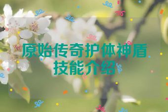 原始传奇护体神盾技能介绍