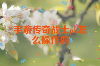 手游传奇战士pk怎么操作的