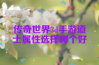传奇世界3d手游道士属性选择哪个好