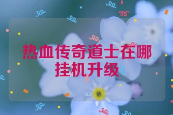 热血传奇道士在哪挂机升级