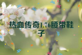 热血传奇1.76腰带鞋子