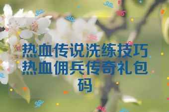 热血传说洗练技巧热血佣兵传奇礼包码