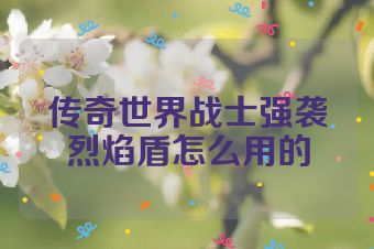 传奇世界战士强袭烈焰盾怎么用的
