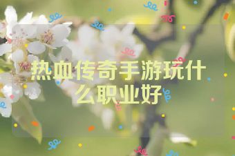 热血传奇手游玩什么职业好