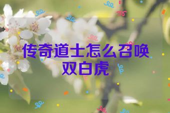 传奇道士怎么召唤双白虎