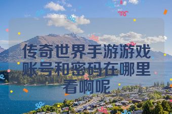 传奇世界手游游戏账号和密码在哪里看啊呢