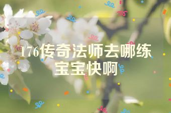176传奇法师去哪练宝宝快啊