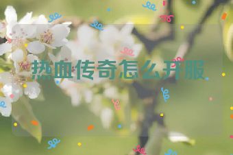 热血传奇怎么开服