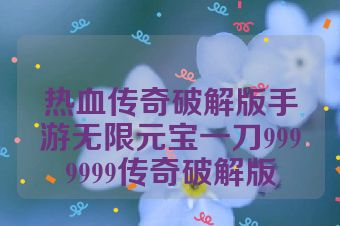 热血传奇破解版手游无限元宝一刀9999999传奇破解版