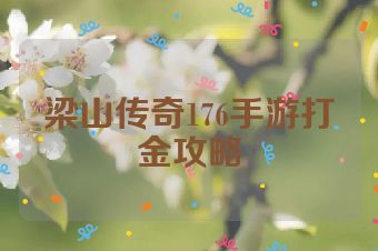 梁山传奇176手游打金攻略