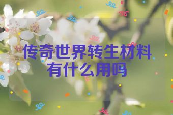 传奇世界转生材料有什么用吗