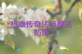 热血传奇法师魔法防御