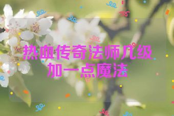 热血传奇法师几级加一点魔法