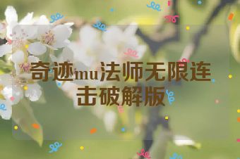 奇迹mu法师无限连击破解版