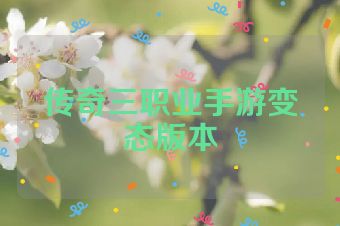 传奇三职业手游变态版本