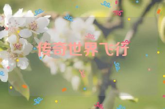 传奇世界飞行