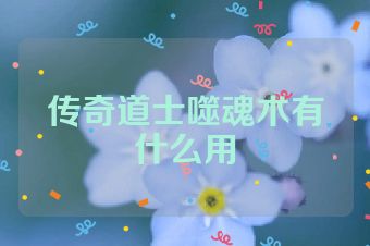传奇道士噬魂术有什么用