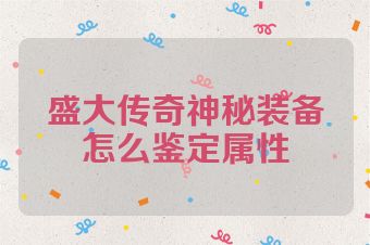 盛大传奇神秘装备怎么鉴定属性