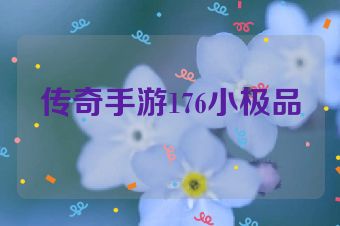 传奇手游176小极品