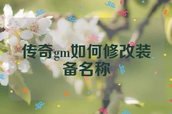 传奇gm如何修改装备名称
