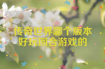 传奇世界哪个版本好玩回合游戏的