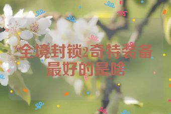 全境封锁2奇特装备最好的是啥