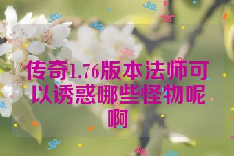 传奇1.76版本法师可以诱惑哪些怪物呢啊