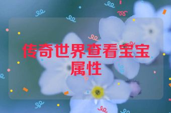传奇世界查看宝宝属性