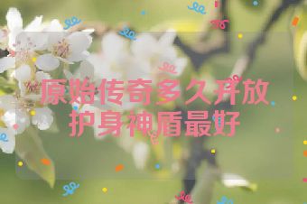 原始传奇多久开放护身神盾最好