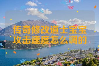 传奇修改道士宝宝攻击速度怎么调的