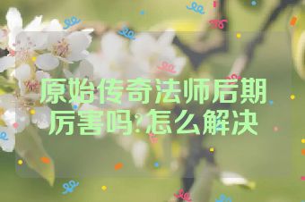 原始传奇法师后期厉害吗?怎么解决