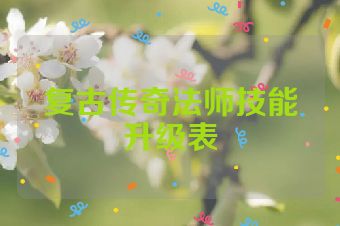 复古传奇法师技能升级表