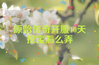 原始传奇开服40天挖宝怎么弄