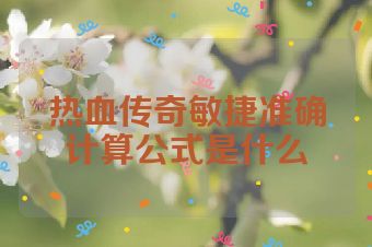热血传奇敏捷准确计算公式是什么