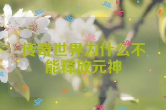 传奇世界为什么不能释放元神