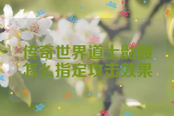 传奇世界道士骷髅怎么指定攻击效果