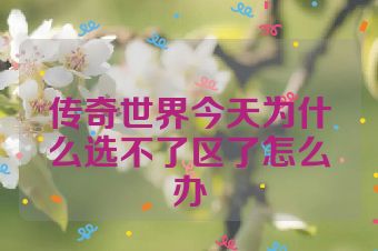 传奇世界今天为什么选不了区了怎么办