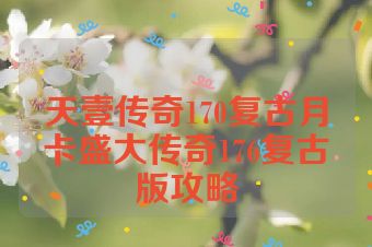 天壹传奇170复古月卡盛大传奇176复古版攻略