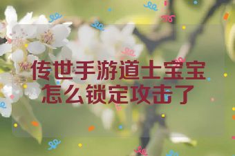 传世手游道士宝宝怎么锁定攻击了