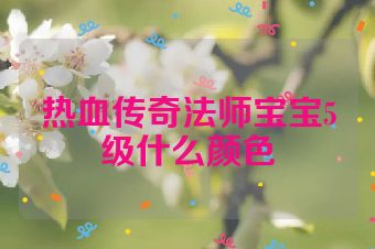 热血传奇法师宝宝5级什么颜色