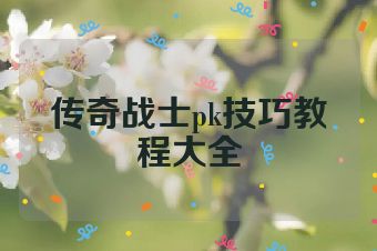 传奇战士pk技巧教程大全