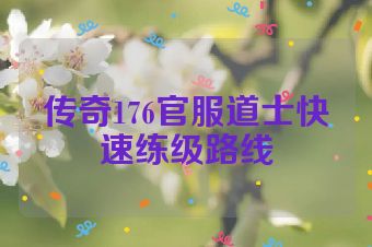 传奇176官服道士快速练级路线