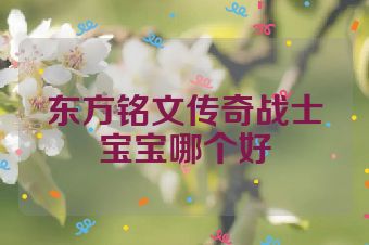 东方铭文传奇战士宝宝哪个好