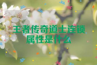 王者传奇道士连锁属性是什么